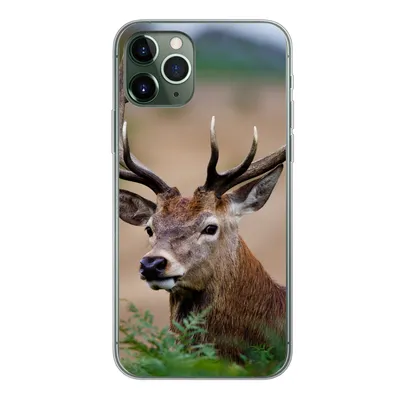Produktbild von MuchoWow® Handyhülle Schutzhülle Hülle für iPhone 11 Pro Hirsche - Farne - Natur Silikon Softcase Handy Hülle - Handy
