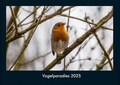 Produktbild von Vogelparadies 2025 Fotokalender DIN A4