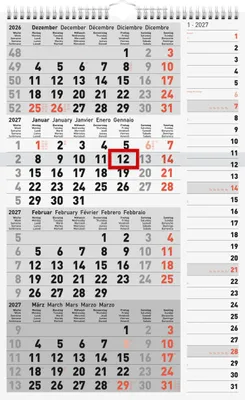 Produktbild von rido/idé 7033430007 4-Monatskalender 2027 grau, 300×490 mm