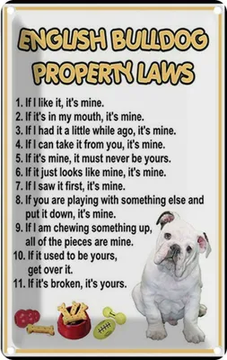 Produktbild von vianmo Blechschild 30x20 cm english bulldog property laws