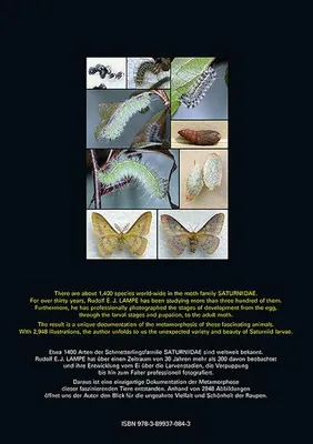 Image de Saturniidae of the World Pfauenspinner der Welt