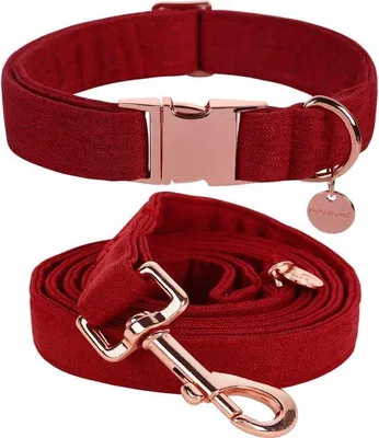 Produktbild von Famanu Hundehalsband Rot - Verstellbares, bequemes Halsband für kleine und mittelgroße Hunde