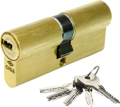 Image de Cisa Asix Cylindre 30x30 Laiton Sécurité Standard Pour Porte D'entrée - Cisa