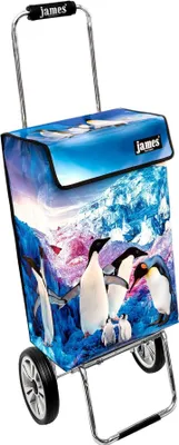 Obrázok produktu pre Nákupný vozík James - PINGUIN - robustný nákupný vozík s individuálnym dizajnom - jednofarebný: modrý v prevedení: Chrome19