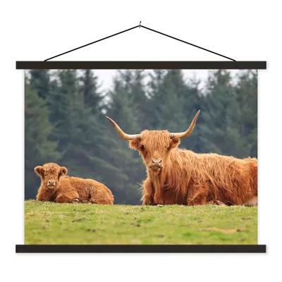 Produktbild von MuchoWow® Textilposter Schottische Highlander - Gras - Wald 120x90 cm mit schwarzem Rahmen - Aufhänger für Poster