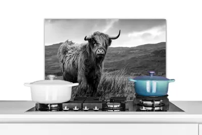 Obrázek produktu pro KitchenYeah® Splashback kitchen - Kuchyňský splashback - Ochrana stěny sporáku a dřezu - Skotský náhorní skot - Hora - Voda - Příroda - Kráva 70x50 - Alu-Dibond (alternativa ke skleněnému splashbacku) -