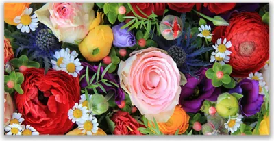 Produktbild von Acrylglasbilder 120x60 Wandbild Druck Blumen Pflanzen