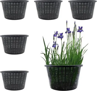 Produktbild von Hydroponik-Netztöpfe, 212 mm - Kunststoff - Packung mit 6 Stück - ideal für Wasserpflanzen