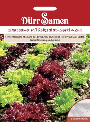 Zdjęcie produktu dla Dürr-Samen - Asortyment sałat z taśmy nasiennej - Nasiona - 1214