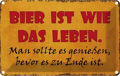 Produktbild von vianmo Blechschild 20x30 cm Bier ist wie das Leben man soll Spruch Zitat