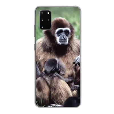 Produktbild von MuchoWow® Handyhülle Schutzhülle Hülle für Samsung Galaxy S20 Plus Affe - Pflanzen - Jung Silikon Softcase Handy Hülle - Hartschale