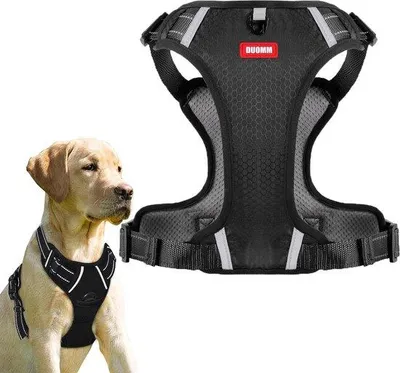 Produktbild von Famanu Hunde-Geschirr mit gepolstertem Brustbereich - für große und mittelgroße Hunde