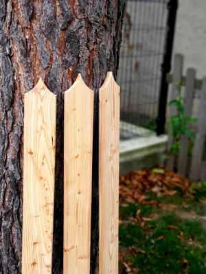 Zdjęcie produktu dla Listwa ogrodzeniowa 9 x 2 x 170 cm z modrzewia syberyjskiego, wzór D