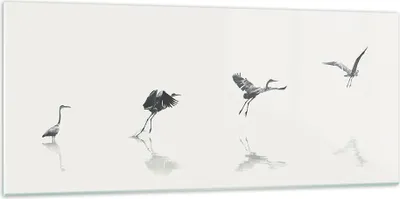 Produktbild von Bilder auf glas - Einteilig - Flug Vogel Reiher - 120x50cm - Glasbilder - Wandbilder - Bilder - zum Aufhängen bereit - Wanddekoration aus Glas - Glas Bilder - Wandbild auf Glas - GAB120x50-5096