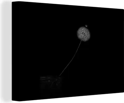 Zdjęcie produktu dla OneMillionCanvasses® - Obraz na płótnie - Dekoracja ścienna - Kwiaty - Mlecz - Nasiona - Czarny - Biały - 150x100cm - Fotografia