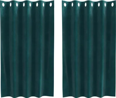 Immagine prodotto di vidaXL Tende oscuranti 2 pezzi Verde scuro 140 x 140 cm Velluto
