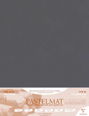 Produktbild von Clairefontaine Pastelmat Pastellmalerei, 5 Bogen 50x70 cm, 360g Anthrazit 96009C