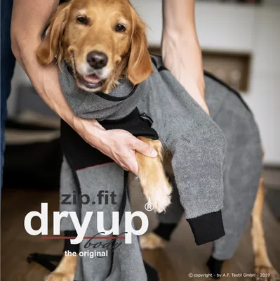 Produktbild von Dryup Body Zip Fit grau S (56cm)
