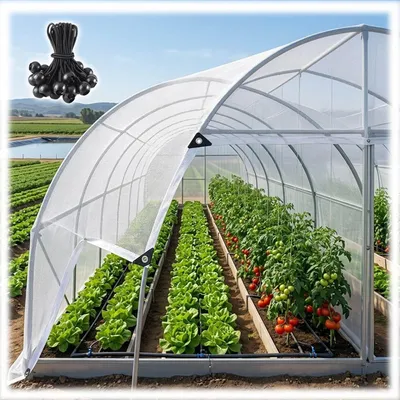 Productafbeelding van Zonwerend Schaduwdoek - 50% UV Bescherming - 2x3m
