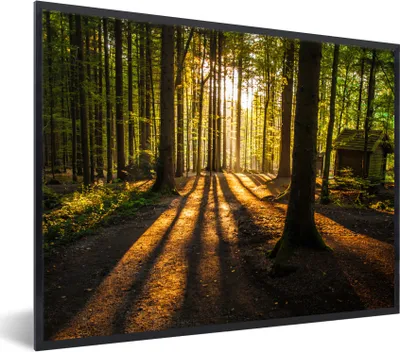 Produktbild von MuchoWow® Gerahmtes Poster Sonne - Bäume - Wald - Landschaft - Natur 80x60 cm - Poster mit Schwarzem Bilderrahmen Wandposter Rahmen Foto Bilder - Schwarzem - Mit Gestell