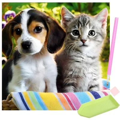 Produktbild von Malen nach Zahlen 30x30cm Diamantstickerei Set - Hund & Katze, Malen nach Zahlen