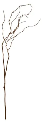 Produktbild von Dekorativer zweig nyer, h. 115 cm, braun - Atmosphera créateur d'intérieur