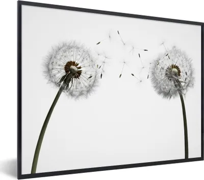 Produktbild von MuchoWow® Gerahmtes Poster Illustration - Saatgut - Löwenzahn 40x30 cm - Poster mit Schwarzem Bilderrahmen Wandposter Rahmen Foto Bilder - Kunstposter - Wanddekorationen