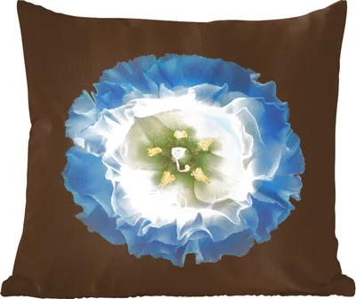 Produktbild von MuchoWow® Zierkissen Sofakissen Wohnzimmer Dekokissen 40x40 cm Eine Nahaufnahme einer blauen Blume auf schwarzem Hintergrund - Foto Kissen - Schlafzimmer Dekoration