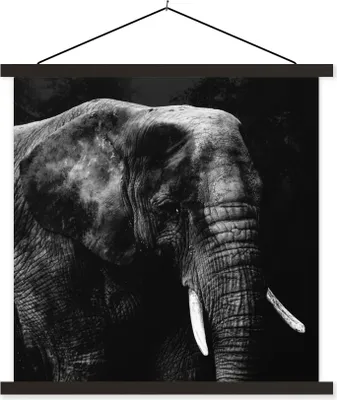 Produktbild von MuchoWow® Textilposter Elefant - Tiere - Schwarz - Weiß 40x40 cm mit schwarzem Rahmen - Fotos
