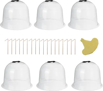 Produktbild von 6PCS wiederverwendbare Gartenpflanzen-Cloche-Kunststoffkuppel-Schutzsämlingsabdeckungen für den Garten im Freien