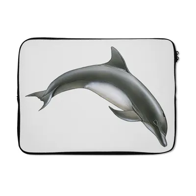 Produktbild von MuchoWow® Laptop Hülle 14 ZollDelfin - Weiß Laptoptasche - Laptoptasche - Stoßsicher - Schutzhaube
