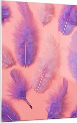 Produktbild von Bilder auf glas - Einteilig - Vogel Feder Farbe Komposition - 50x70cm - Glasbilder - Wandbilder - Bilder - Wanddekoration aus Glas - Glas Bilder - Wandbild auf Glas - GPA50x70-2922