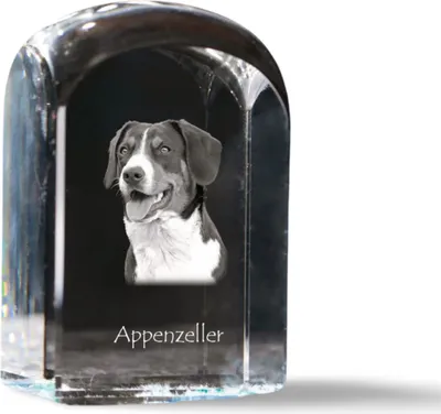 Immagine prodotto di Art-Dog Fermacarte – Bovaro dell’Appenzell