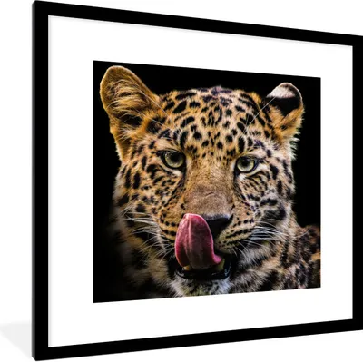 Produktbild von MuchoWow® Gerahmtes Poster Leopard - Schwarz - Nahaufnahme 40x40 cm - Poster mit Schwarzem Bilderrahmen Wandposter Rahmen Foto Bilder - Poster - Plakat im Rahmen