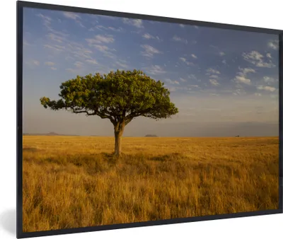 Produktbild von MuchoWow® MuchoWow® Gerahmtes Poster Die Savanne des Serengeti-Nationalparks in Tansania 60x40 cm - Poster mit zchwarzem Bilderrahmen - Printing - Wanddeko Schlafzimmer