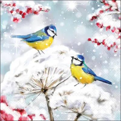Produktbild von 20 Servietten Birds in the Snow - Blaumeisen in verschneiter Natur 33x33cm