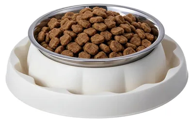 Produktbild von Edelstahl-Katzenfutterbox mit rutschfestem Boden