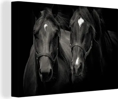 Produktbild von OneMillionCanvasses® - Leinwandbilder - 140x90 cm, Pferde - Tiere - Schwarz, Wandbilder Kunstdruck Wanddekoration