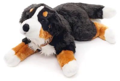 Obrázek produktu pro Uni-Toys – Bernský salašnický pes s obojkem, v ležící poloze – 62 cm (délka) – plyšový pes, domácí mazlíček – plyšová hračka, plyšák