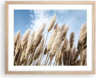 Produktbild von Gerahmtes Poster - Rahmen in heller Eiche - Stock Himmel Boho - 50x40 cm - Wand Bild - Wanddeko - Wandbilder - Kunstposter - Wandposter - Bilderrahmen - Bilder - Kunstdruck - P2NAA50x40-4426