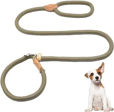 Produktbild von Famanu Hundeleine 1,5 m verstellbar Nylon für Welpen und mittelgroße Hunde