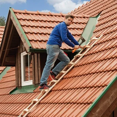 Produktbild von Holz Dachleiter - Sprossenzahl: 8, Länge: 2,25 m