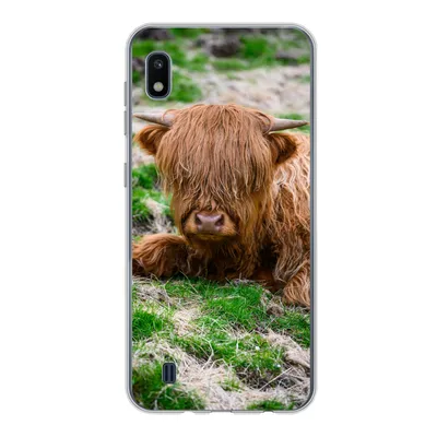 Produktbild von MuchoWow® Handyhülle Schutzhülle Hülle für Samsung Galaxy A10 Schottischer Highlander - Heu - Gras Silikon Softcase Handy Hülle - Schutzhülle