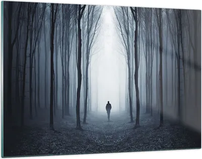Produktbild von Bilder auf glas - Einteilig - Charakter Wald Einsamkeit - 120x80cm - Glasbilder - Wandbilder - Bilder - Wanddekoration aus Glas - Glas Bilder - Wandbild auf Glas - GAA120x80-4142