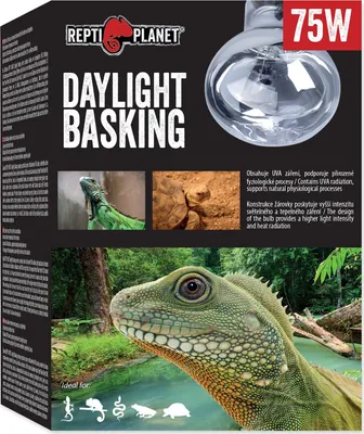 Immagine prodotto di Spot di illuminazione diurna 75 W