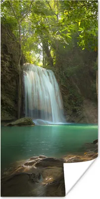 Produktbild von MuchoWow® Poster Ein tropischer Baum im Erawan-Nationalpark in Thailand 60x120 cm - Wandschmuck