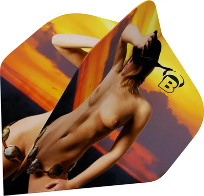 Produktbild von BULL'S Erotic Flights - A-Standard -- 1 Satz