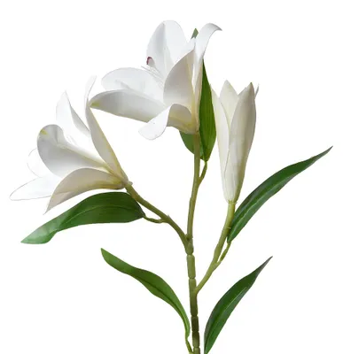 Image de Clayre & Eef Fleur artificielle 71 cm blanc plastique