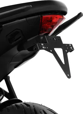 Produktbild von ZIEGER Classic Kennzeichenhalter kompatibel mit Triumph Tiger Sport 660