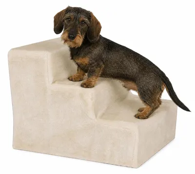 Image de lionto Escalier pour chiens, rembourré & doux pour les articulations, antidérapant & stable, avec housse amovible en peluche, 46x36x34 cm, beige